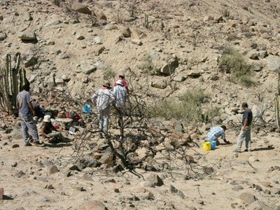 Excavations at the mining base camp of La Ballena in Quebrada Pongo off the Aja River.