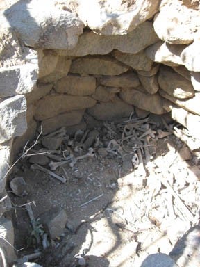 A looted tomb with human bone near Pirca, Peru.