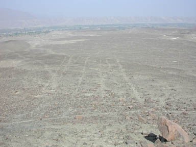 Some Nasca lines in the Pampa of the Ingenio Valley.